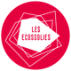 logo-ecossolies-300x300.png