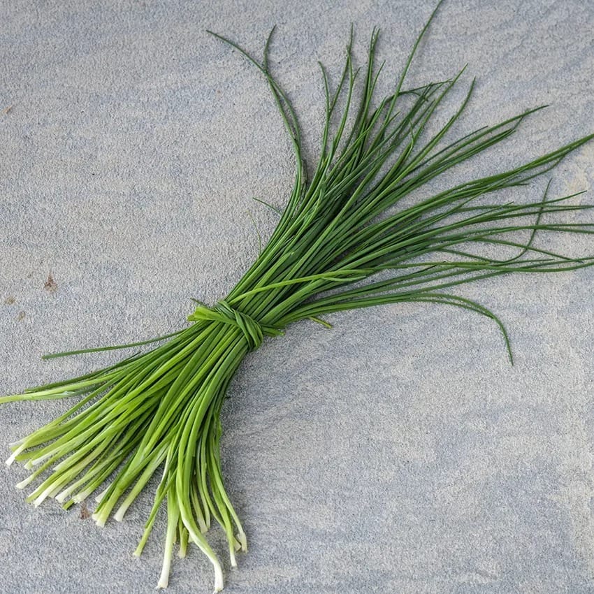 chives_common_lss_dsc_8501_850x850[1].jpg