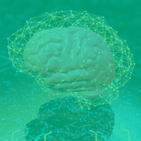 Untitled design (1).png