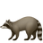 raccoon_1f99d.png