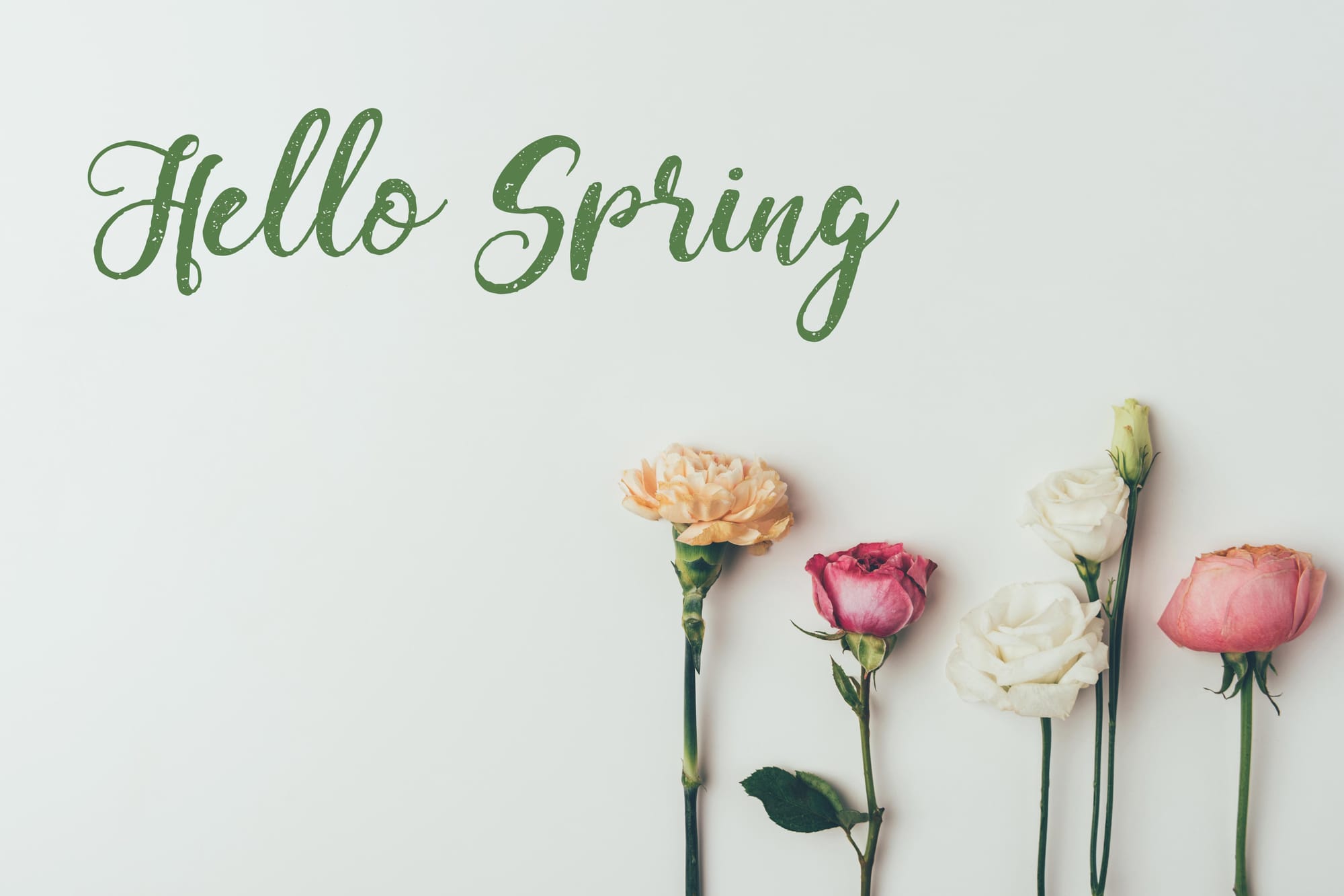Goodbye-Winter-Hello-Spring.jpg