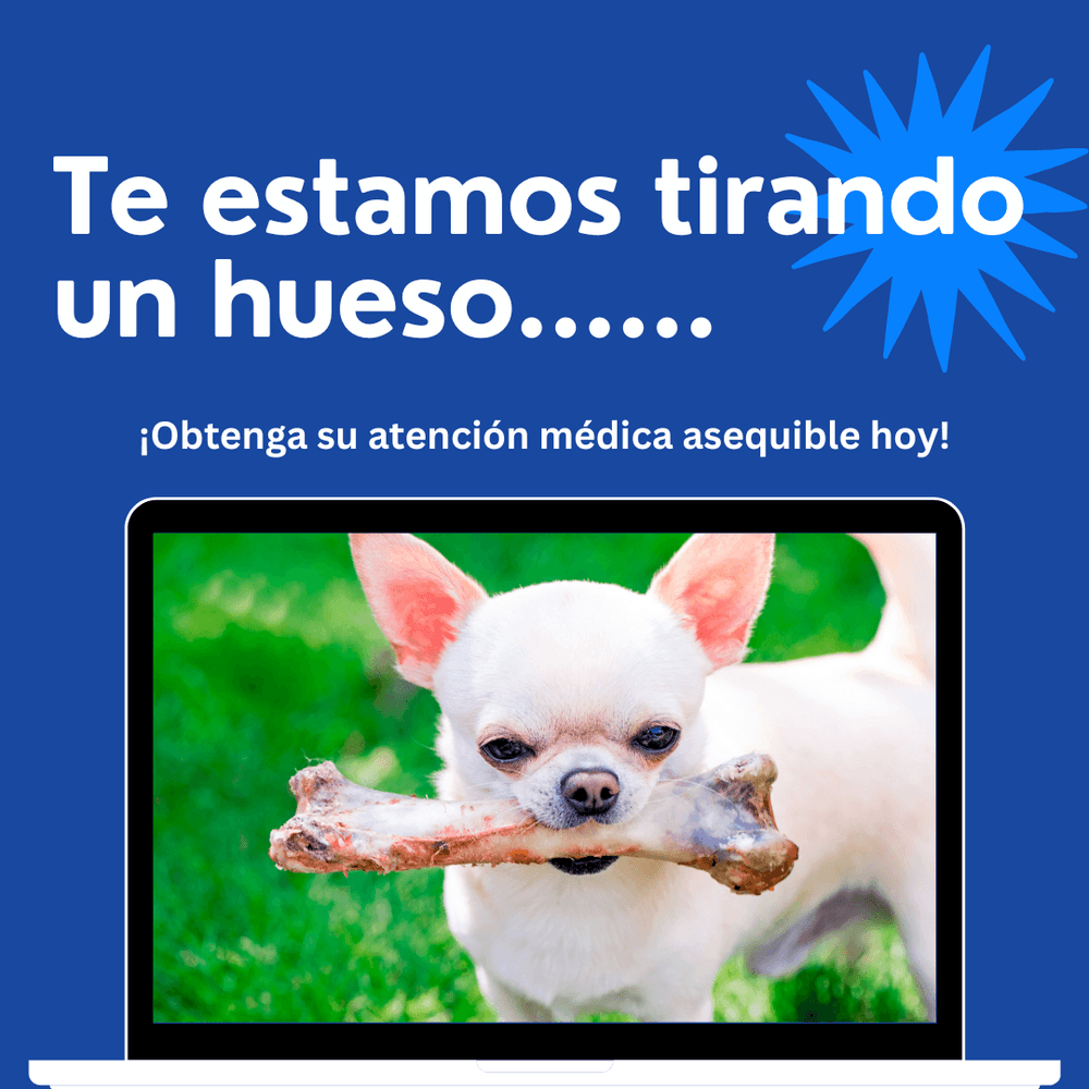 MBG11 Spanish.png