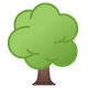 tree.png
