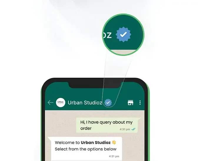 WhatsApp blue tick for business 2.webp