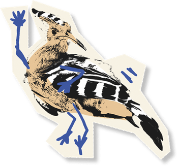 image 5.png
