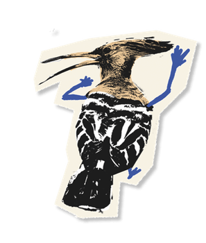 image 6.png