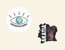 Frame 8.png