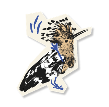image 4.png
