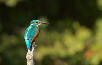 WhatsApp Image 2025-09-08 at 15.04.09.jpeg