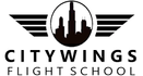 citywings chicago logo.png