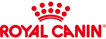 téléchargement (29).png