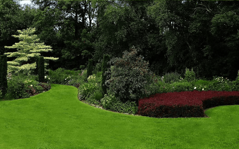 Screenshot 2025-03-10 at 09-37-32 Giardiniere - Cantoni Giardini SA - 6917 Lugano Barbengo.png