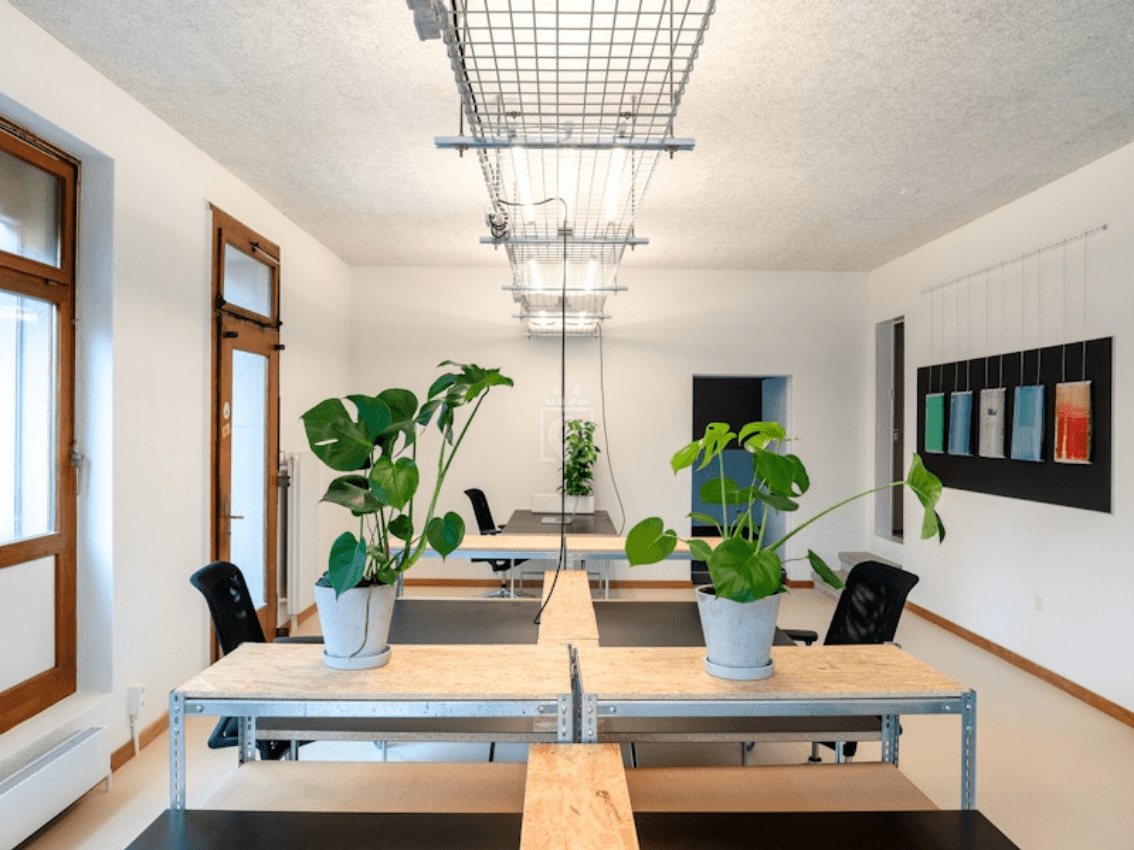 Screenshot 2025-04-09 at 16-30-41 main-1606391398.jpg (Imagen JPEG 800 × 600 pixels) - Escala (94_).png