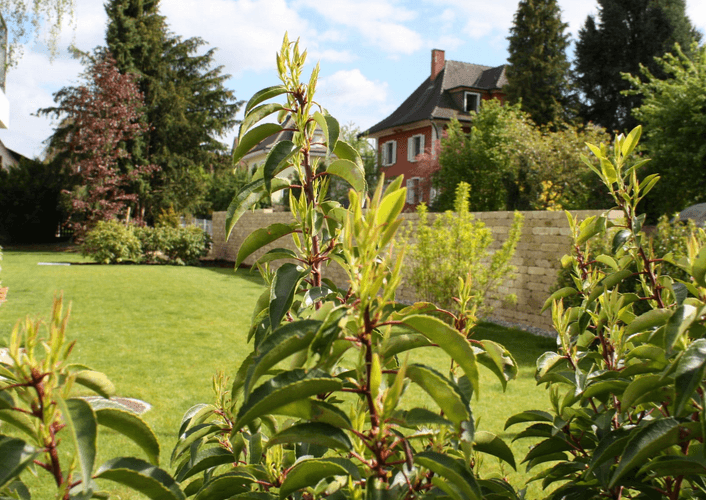 Screenshot 2025-03-10 at 11-33-44 Andi Schumacher Gartenbau GmbH in Aarau.png