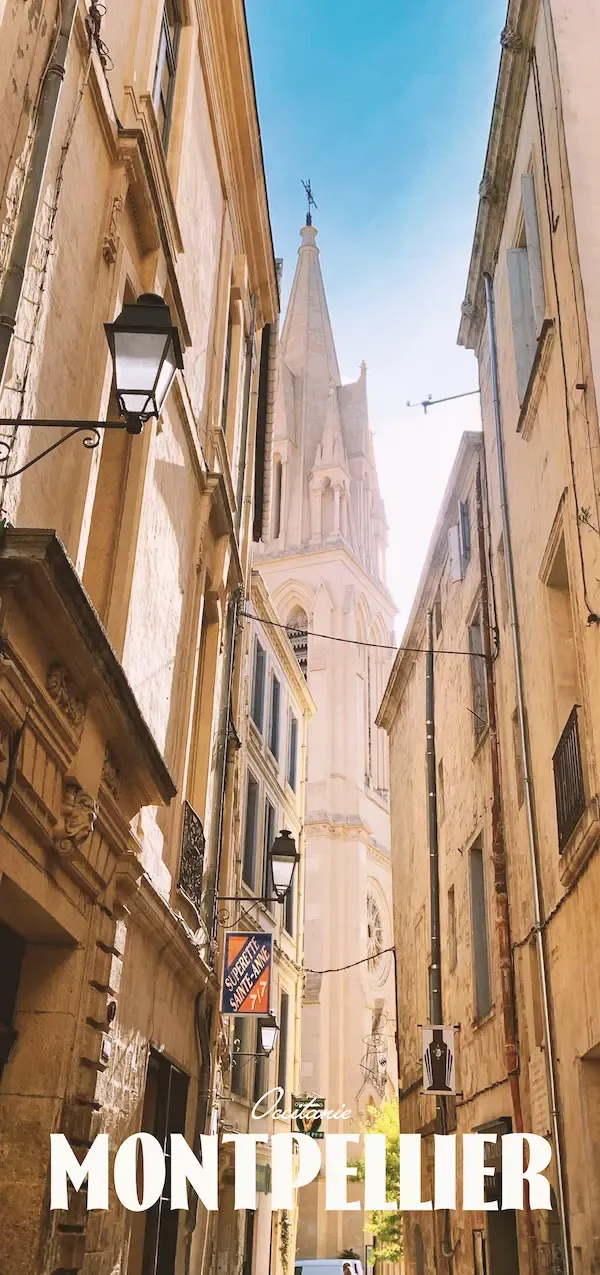 agence-immobiliere-montpellier.webp