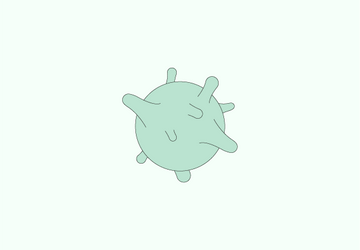 Fichier 85.png