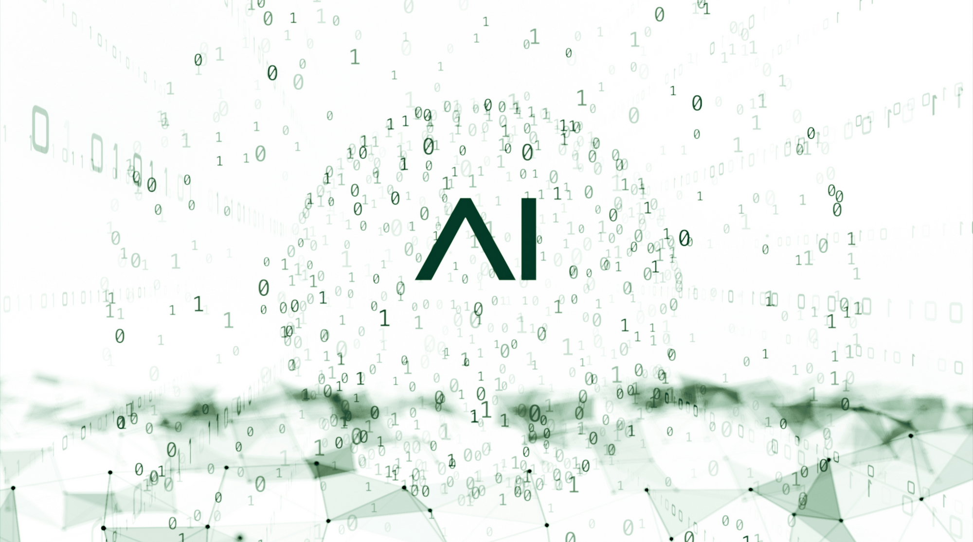 visuel-2.png
