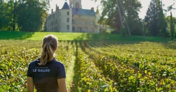 Champagne Le Gallais