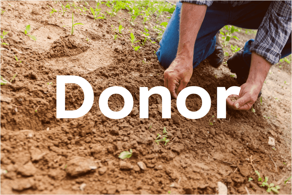 Donor_FICGN.png