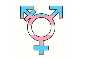 ap550x55016x121transparentt.u8.png