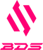 Team_BDS.png