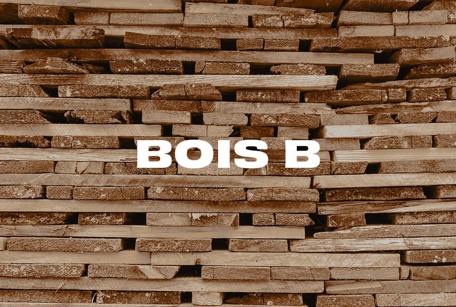 BoisB.jpg