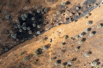 wildfires-eden.png