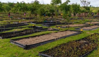 eden-mau-nursery.jpg