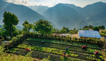 EDEN Nepal 7.jpg