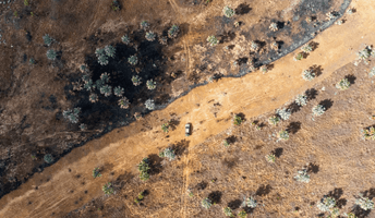 wildfires-eden.png
