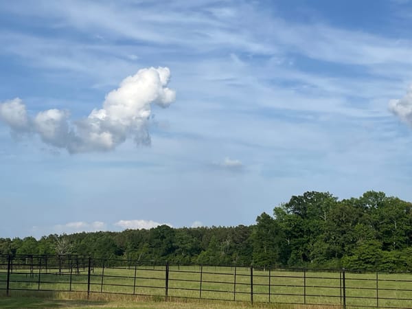 Cloud dreaming.JPG