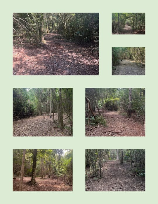 Trails.jpg