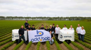 Odd.Bot-in-Field-2023-flag.jpeg