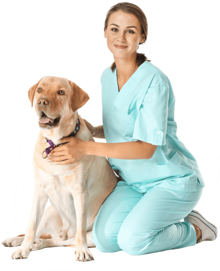nurseAndDog1.png