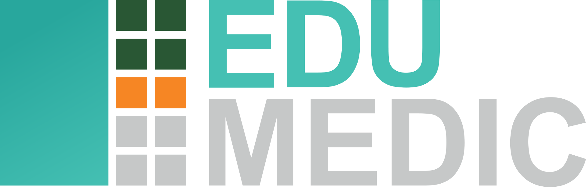 edumedic logoPNG.png