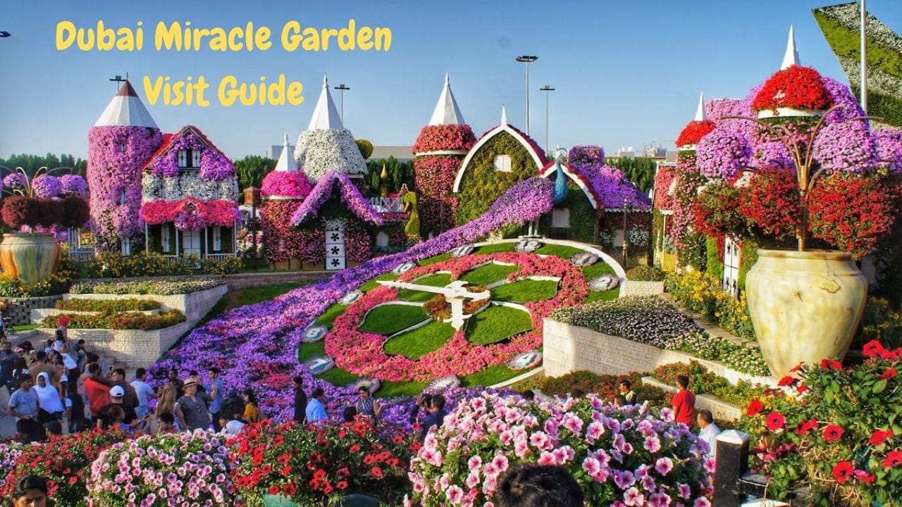 Dubai Miracle Garden Visit Guide.jpg