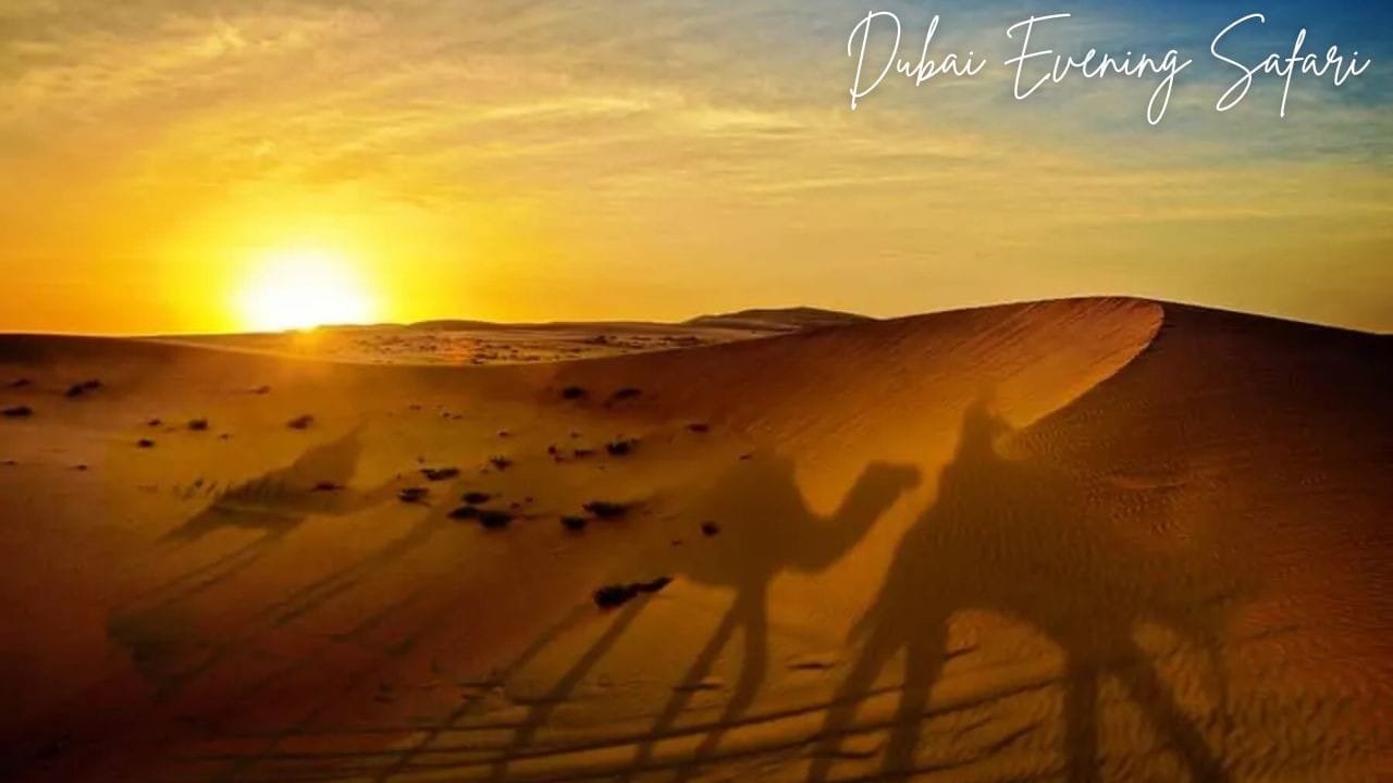 Dubai Evening Safari.jpg