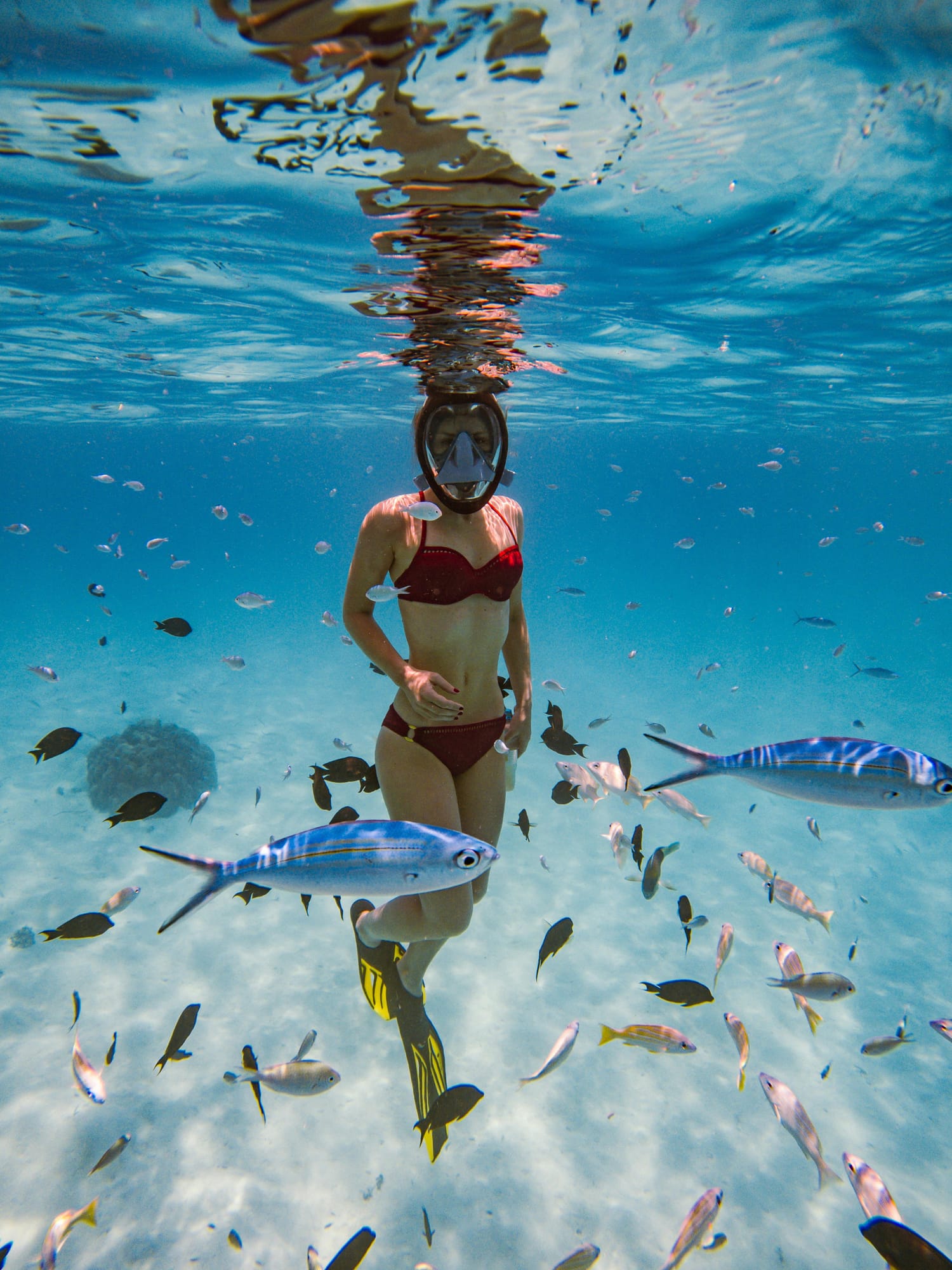 pexels-maldives-local-adventure-608230126-17265133.jpg
