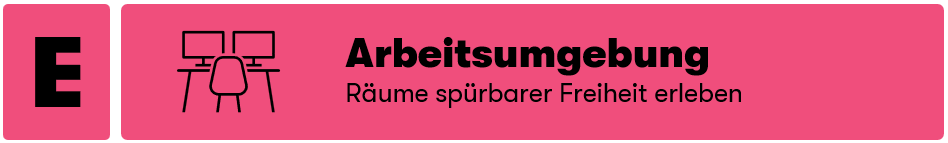 2025 11 picture ECOS Environnement de.png