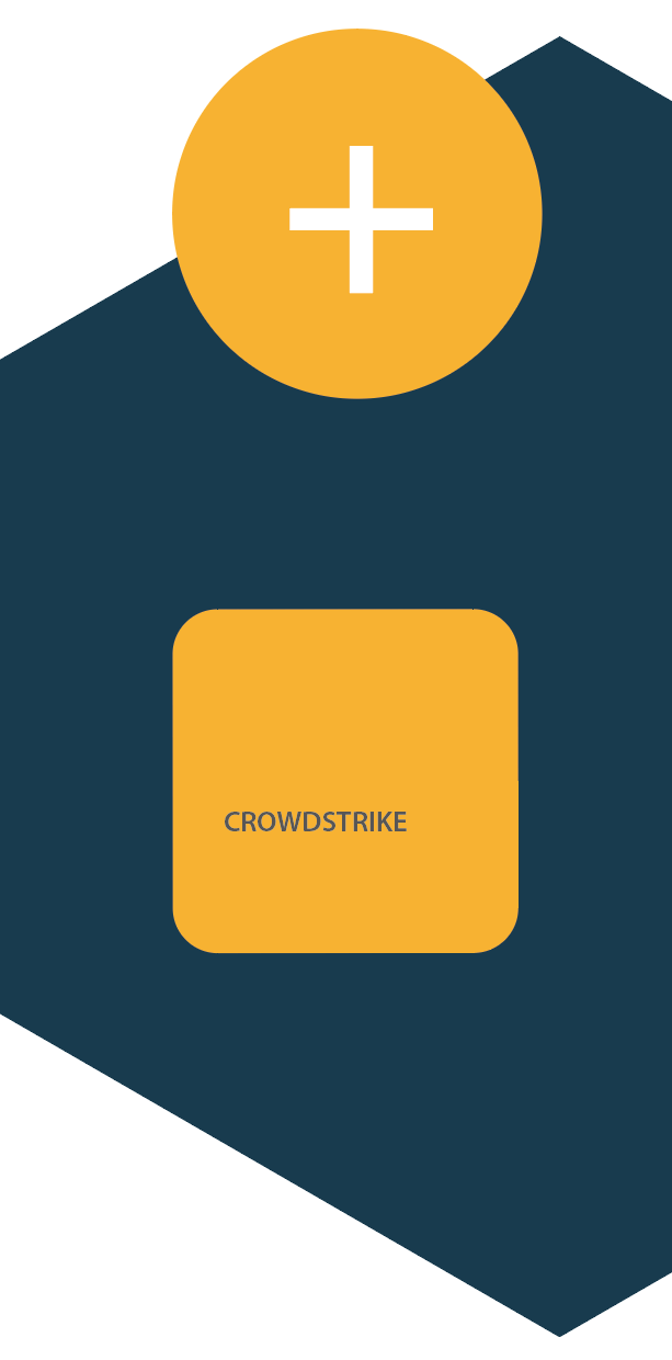 crowdstrike.png