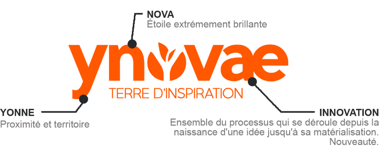 6311fcd022bfa202ff927940_identite-yno.png