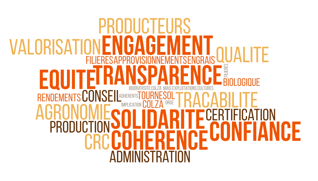 word-cloud.png