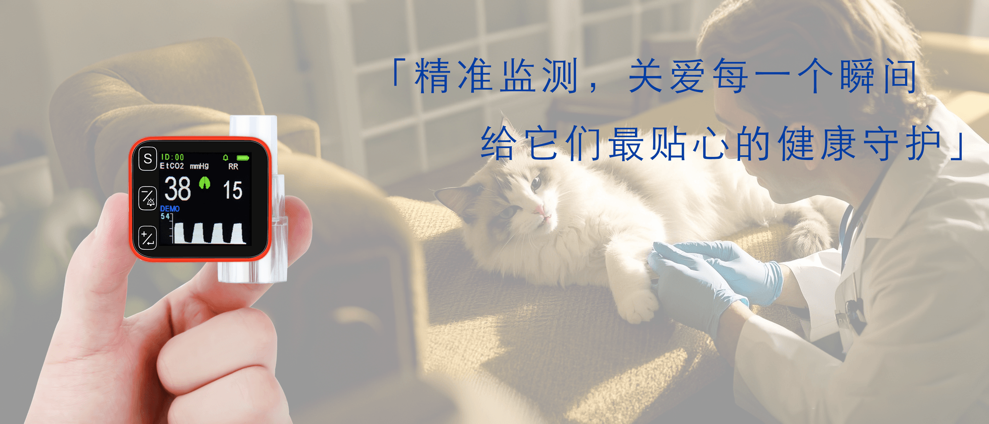 未标题-2.png