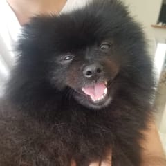 WhatsApp Image 2025-05-06 at 14.18.45.jpeg