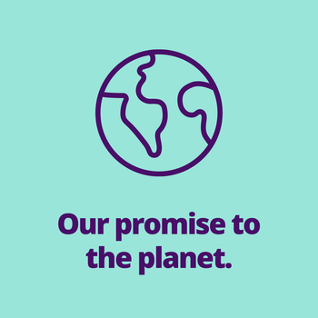 Sustainability.png