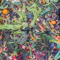 foodwaste.jpg