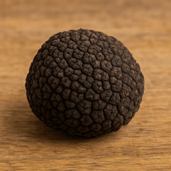 ChatGPT Image 9. Mai 2025, 09_38_27.png