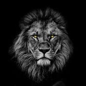 THE LIONS MIND.jpg