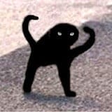 el Cato.jpg