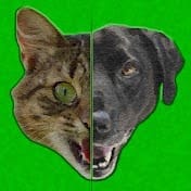 Fanny Animals.jpg